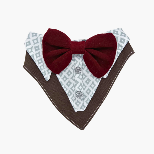 Formal Bandana - Gala for Dogs/Cats