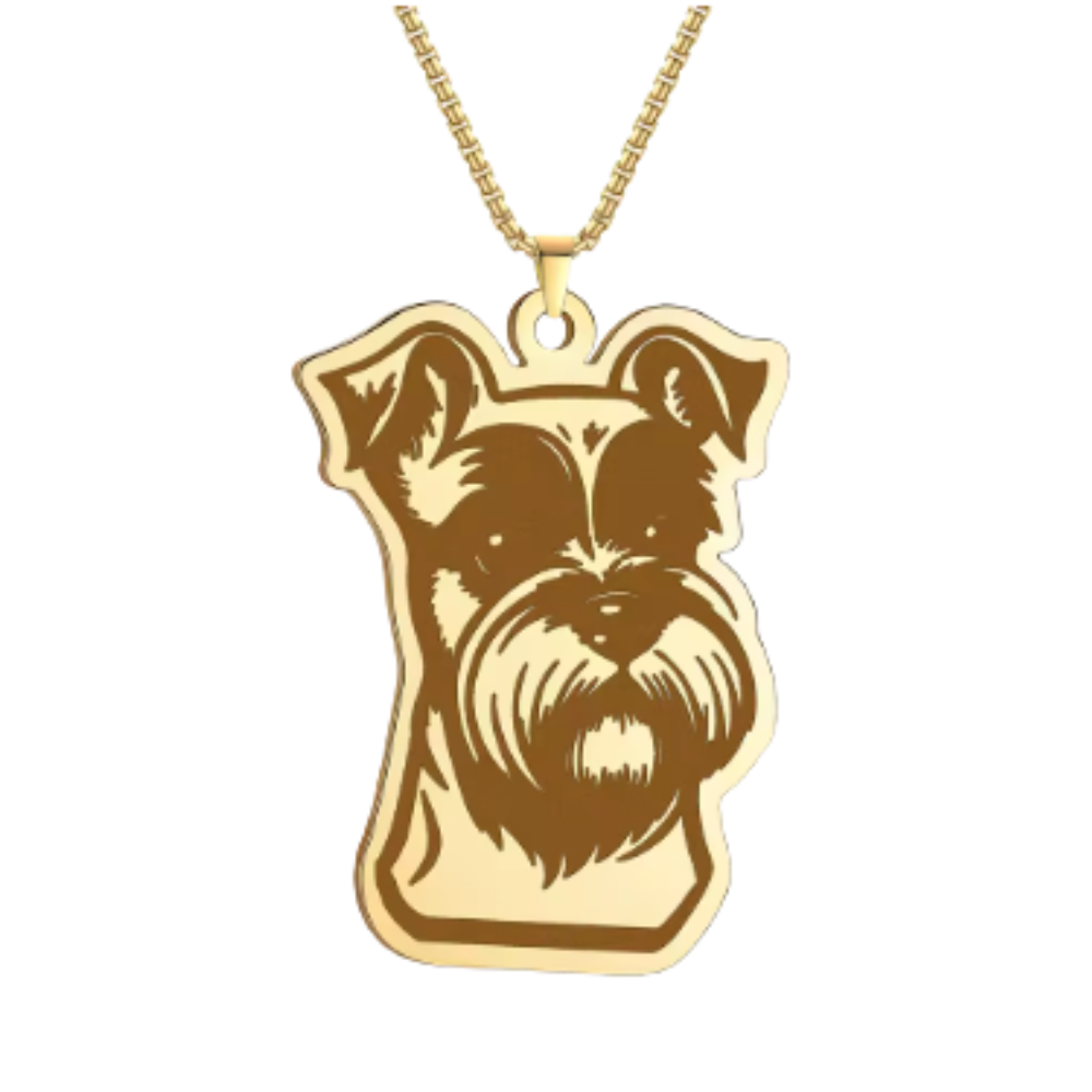 Collar De Acero Inoxidable De Schnauzer