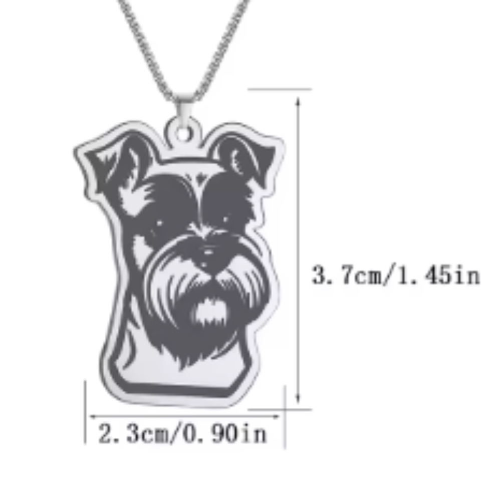 Collar De Acero Inoxidable De Schnauzer