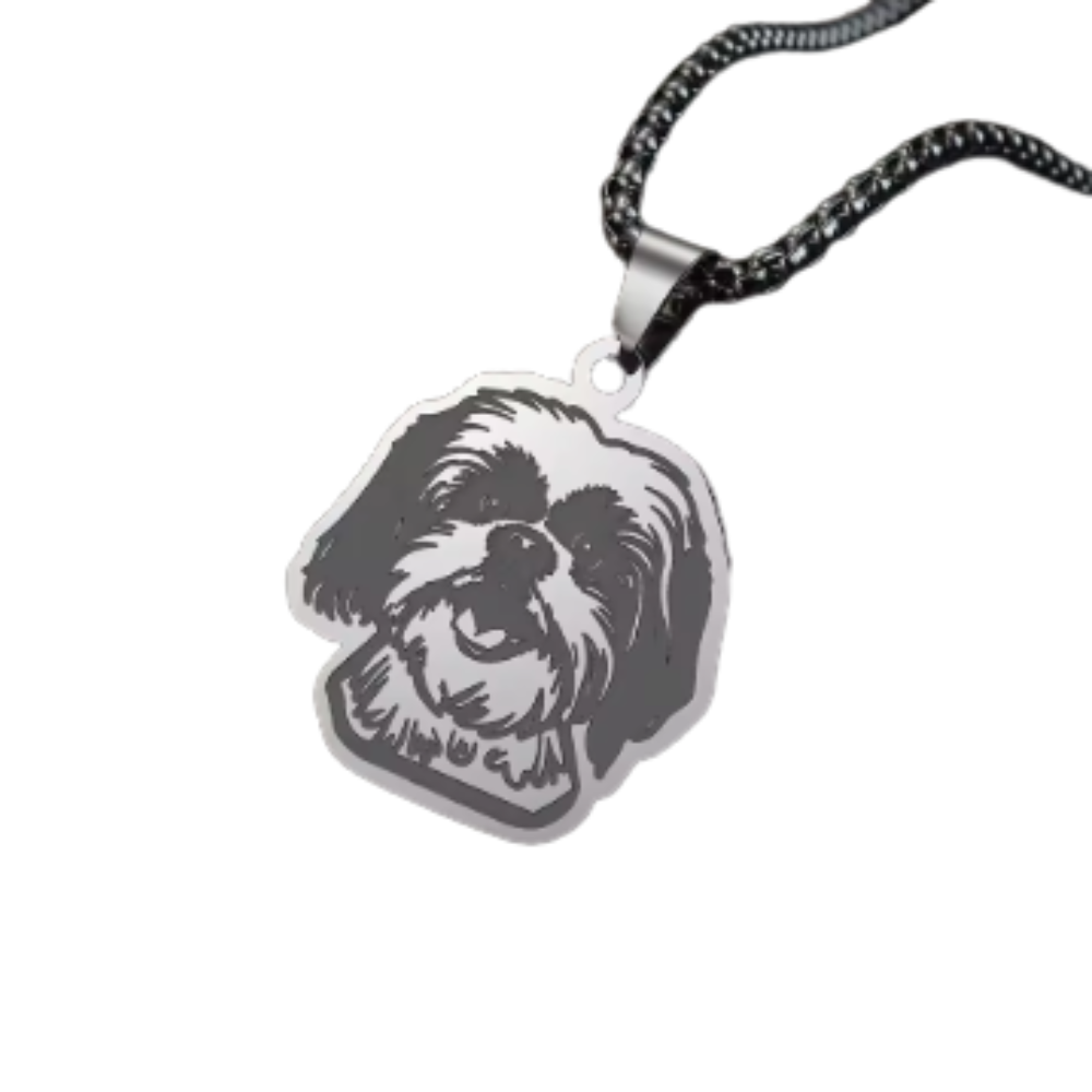 Collar De Acero Inoxidable De Shih Tzu