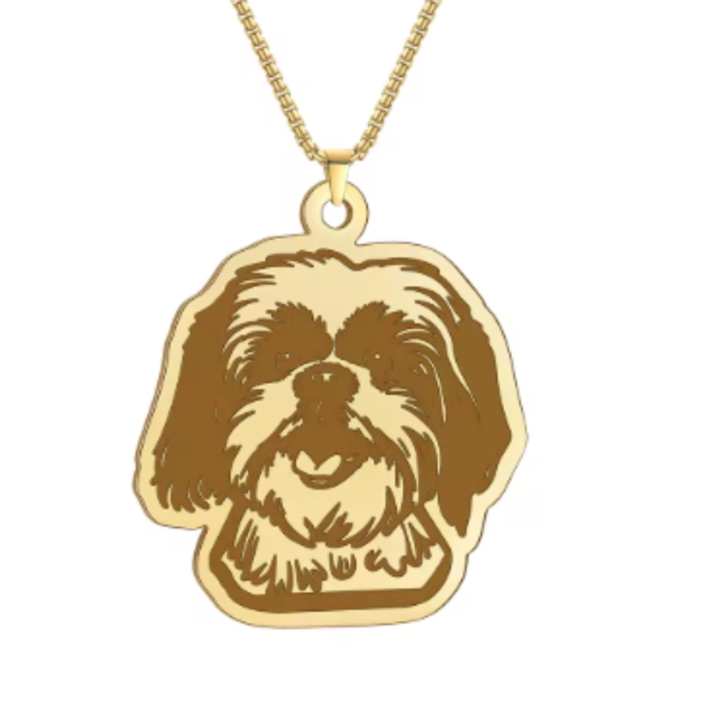 Collar De Acero Inoxidable De Shih Tzu