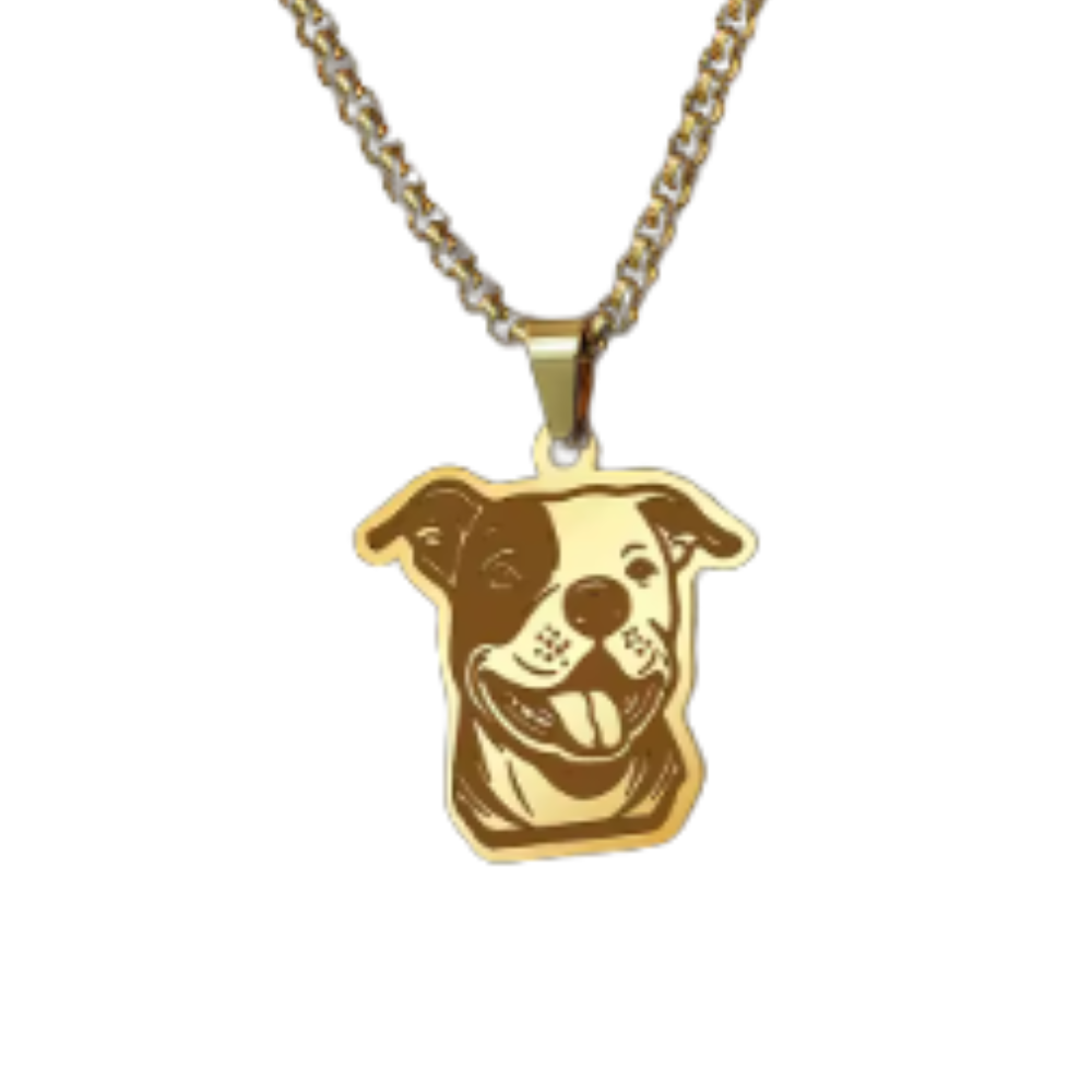 Collar De Acero Inoxidable De Pitbull