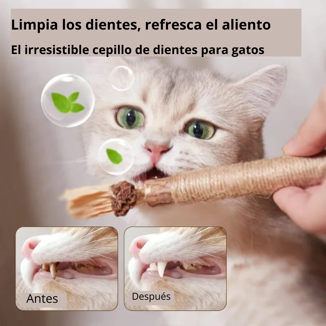 Palitos De Silvervine Para Gatos