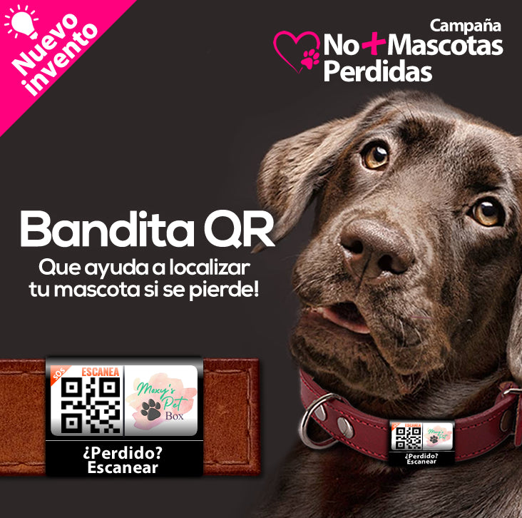 Bandita QR Para Mascotas