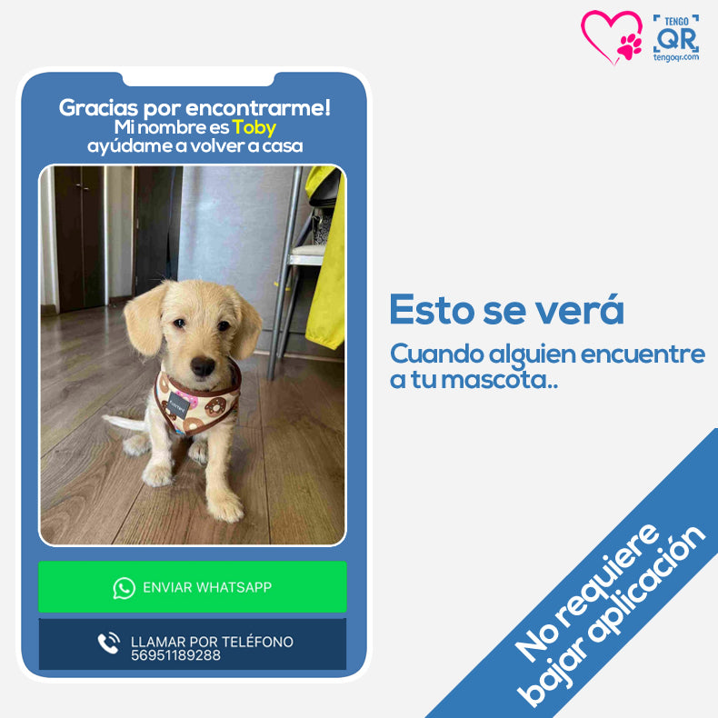 Bandita QR Para Mascotas