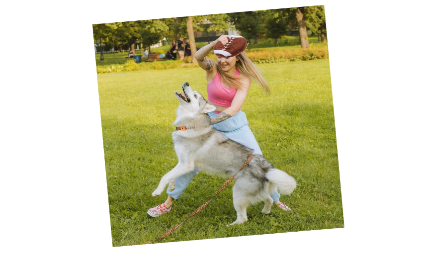 Pelota De Rugby Para Perros