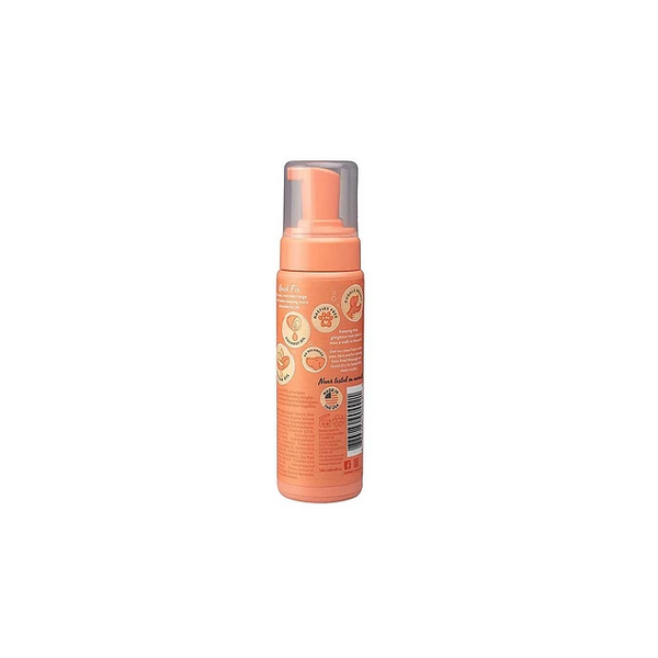 Pet Head Quick Fix Shampoo Seco