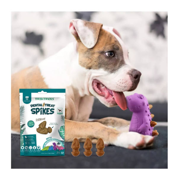 Dental Treat Spikes Lanche Refil Sabor Frango